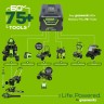 Цепная пила аккумуляторная GreenWorks GD60CS25, 60V, 40 см, бесщеточная, 2500 Вт, без АКБ и ЗУ  (2008907)
